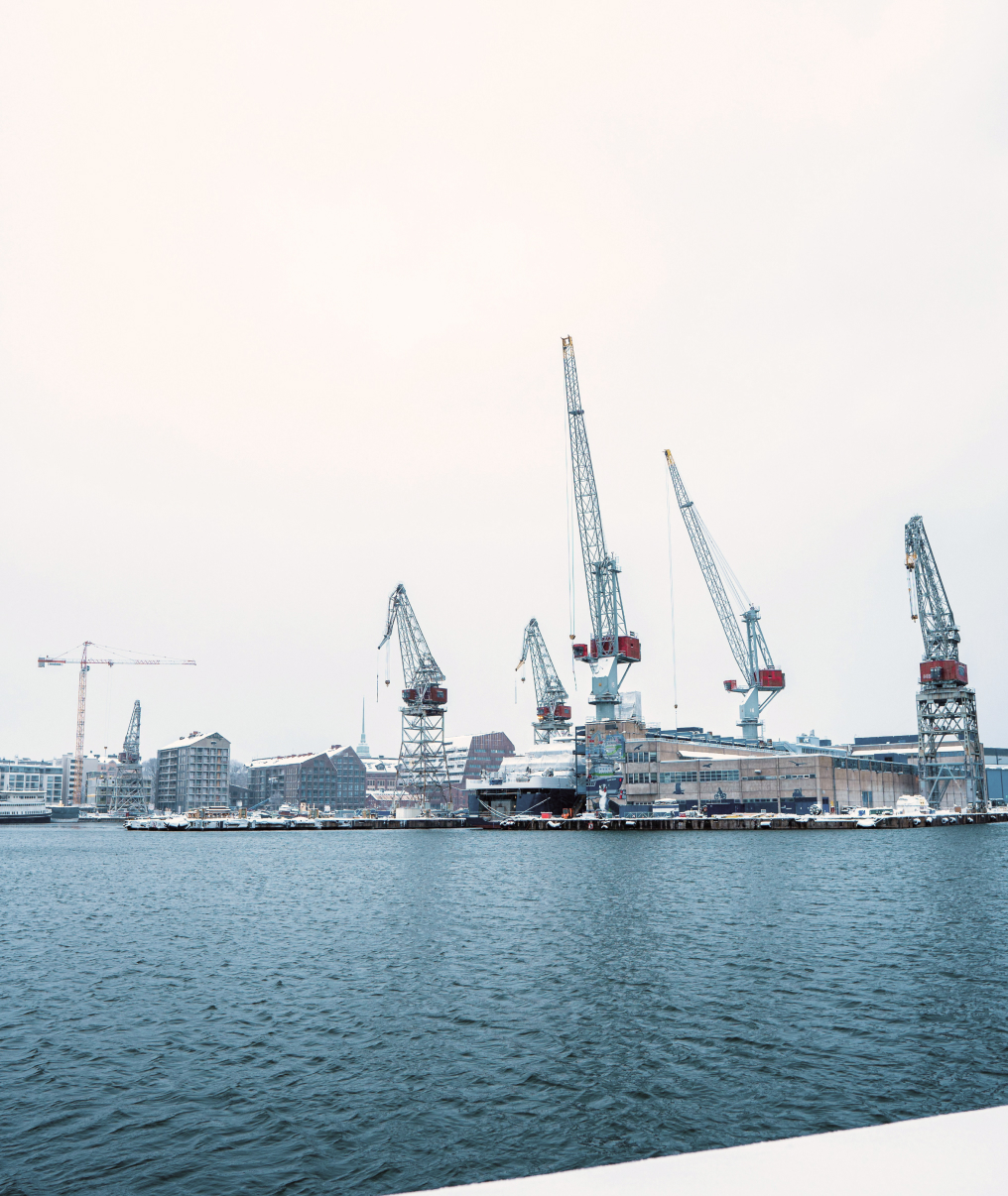 Portrait photo of shipping cranes seen across a body of water
